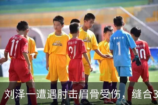 刘泽一遭遇肘击眉骨受伤，缝合30多针将缺阵两周